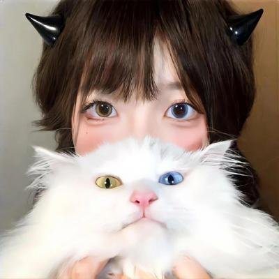 波登人生不设限